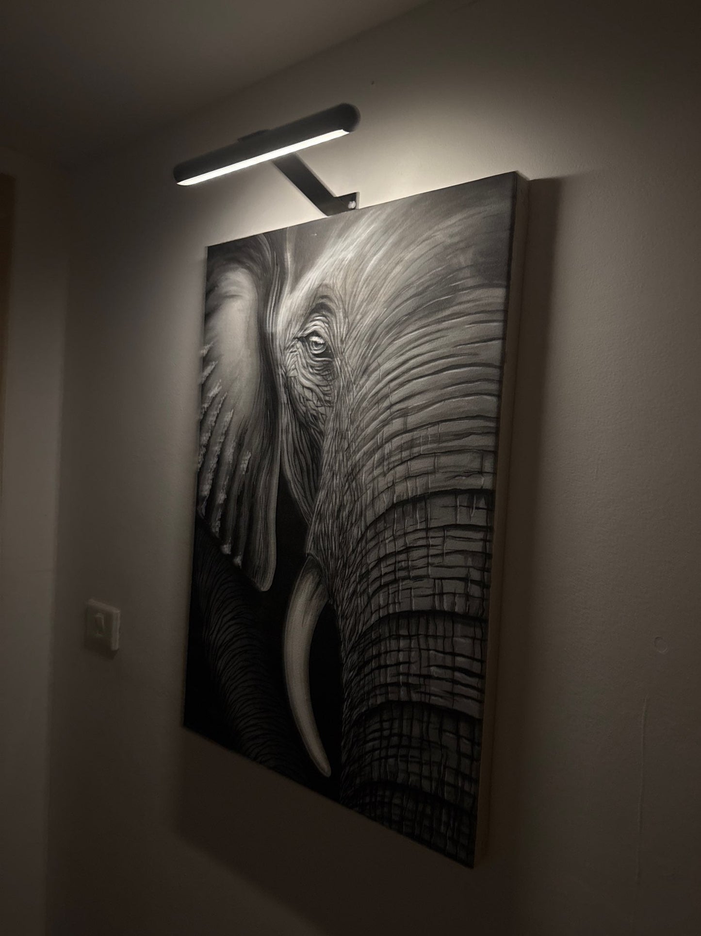 Artglow LED Wall Lamp – Elegant Illumination for Artworks 4