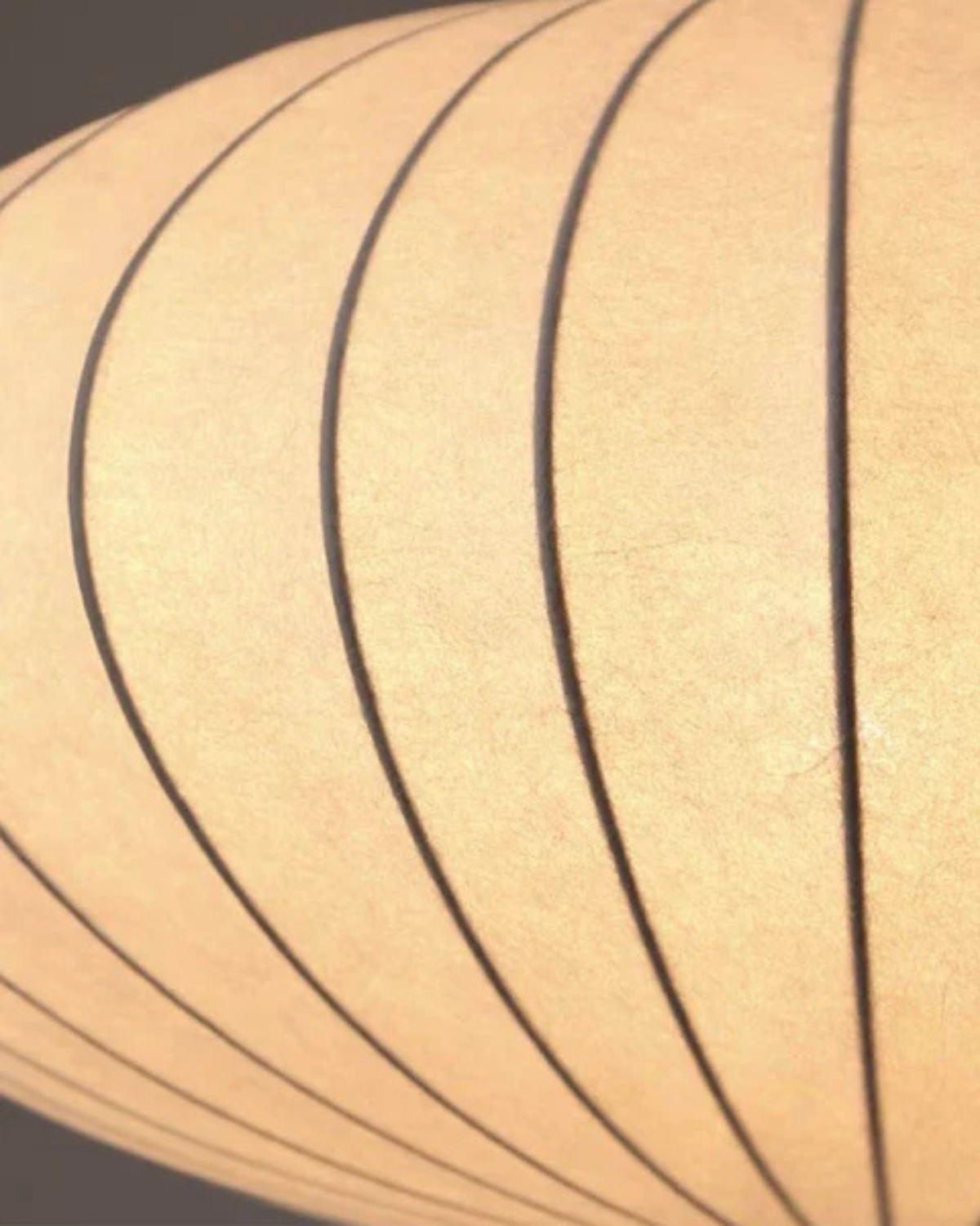 Hanging Light Oval Structure – Timeless Elegance with Warm Illumination 4