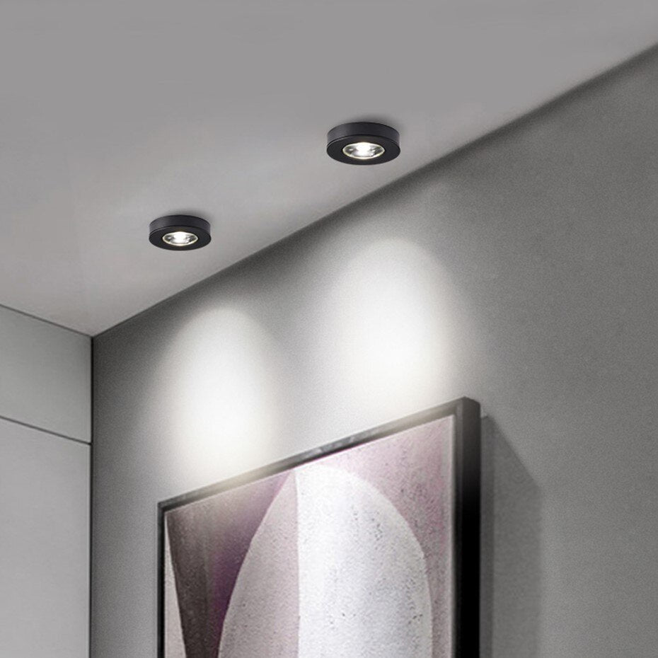 LED Ceiling Light Delma – Modern Illumination for Stylish Spaces 2