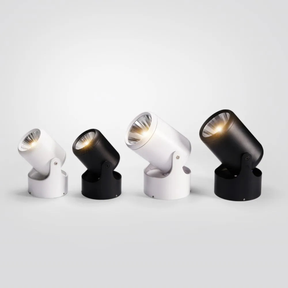LED Ceiling Light Fixture Dimmable – Flexible Design for Customized Illumination 0