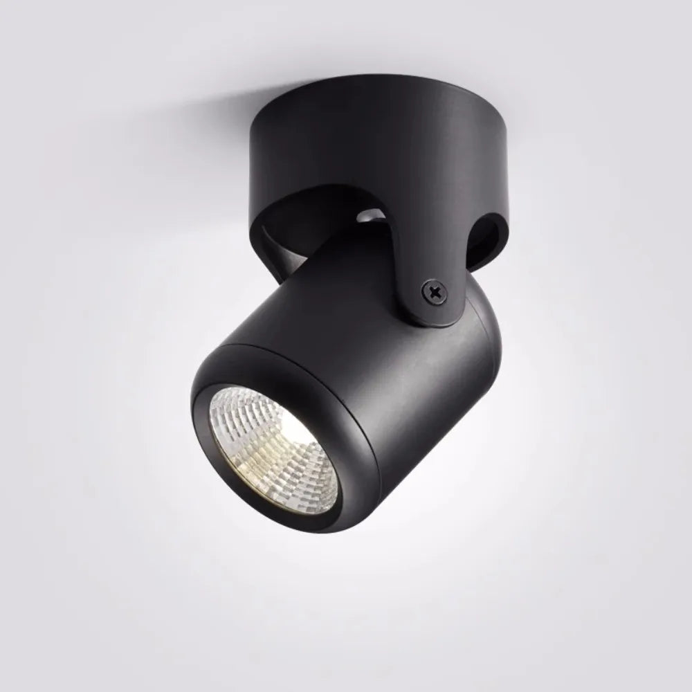 LED Ceiling Light Fixture Dimmable – Flexible Design for Customized Illumination 2