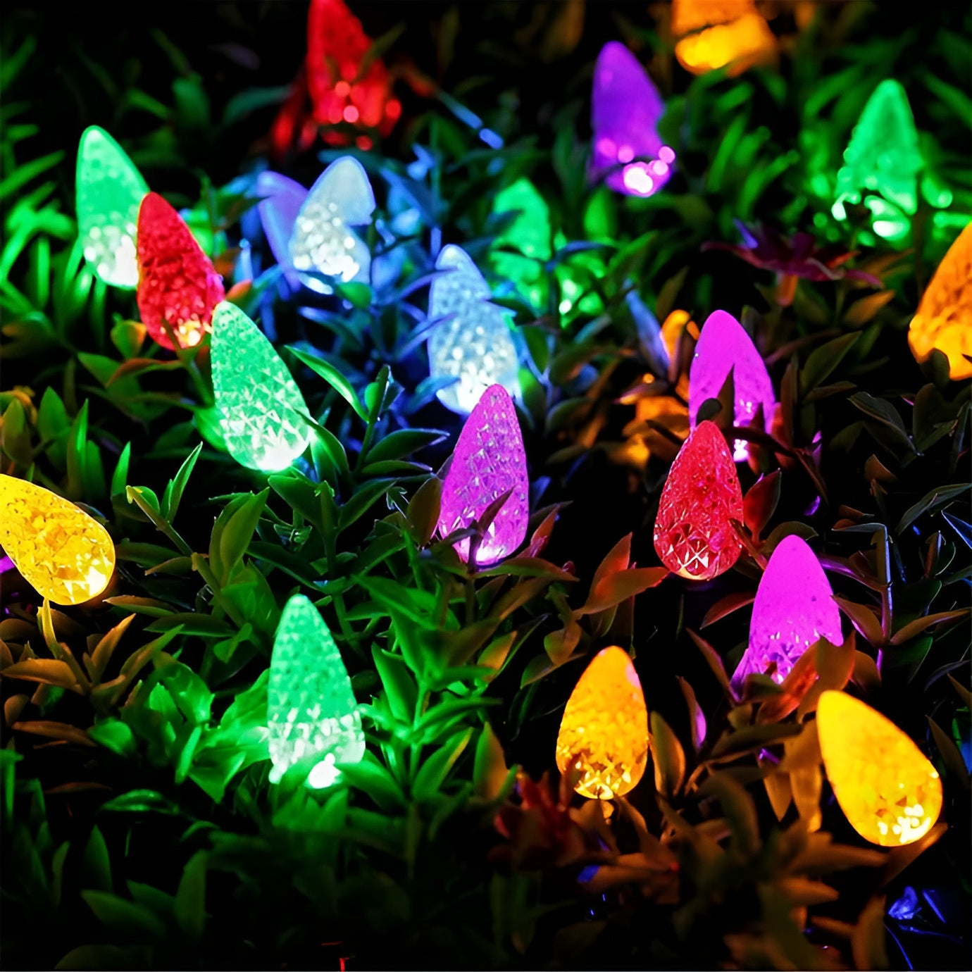 LED Fairy Lights Weatherproof – Magical Illumination for Outdoor Celebrations 6