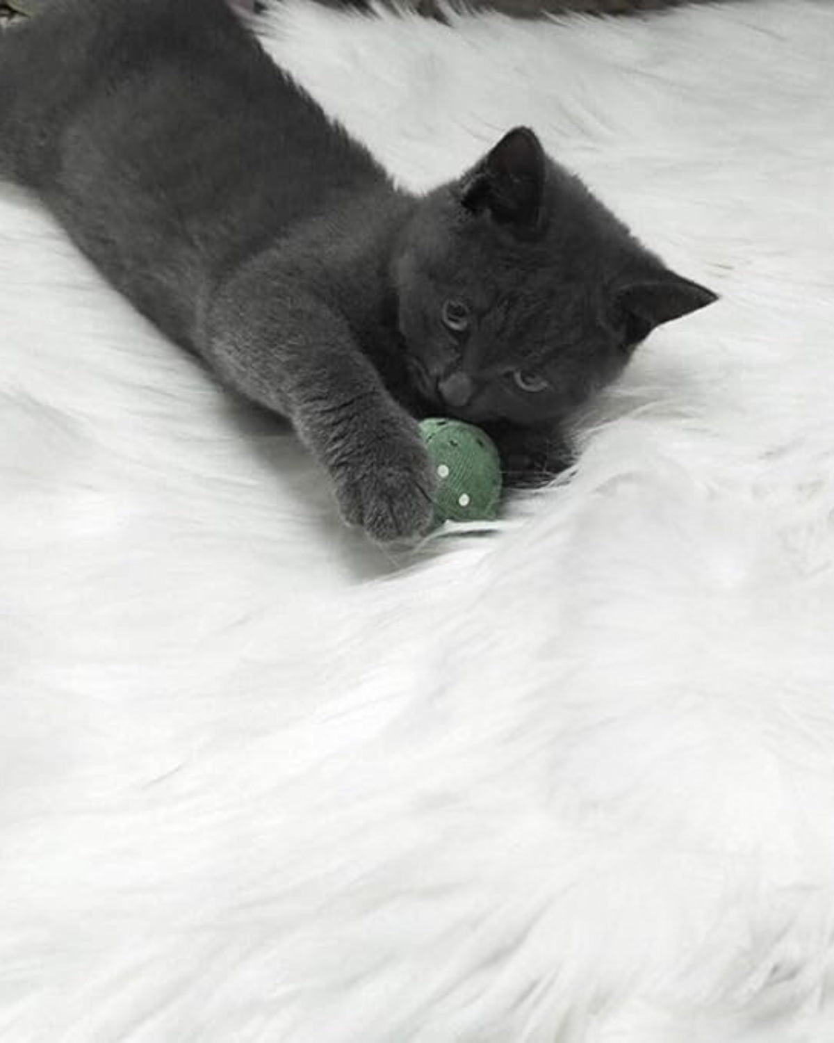 **Le Luxe Furré – Elegant Washable Carpet for Any Room** 3