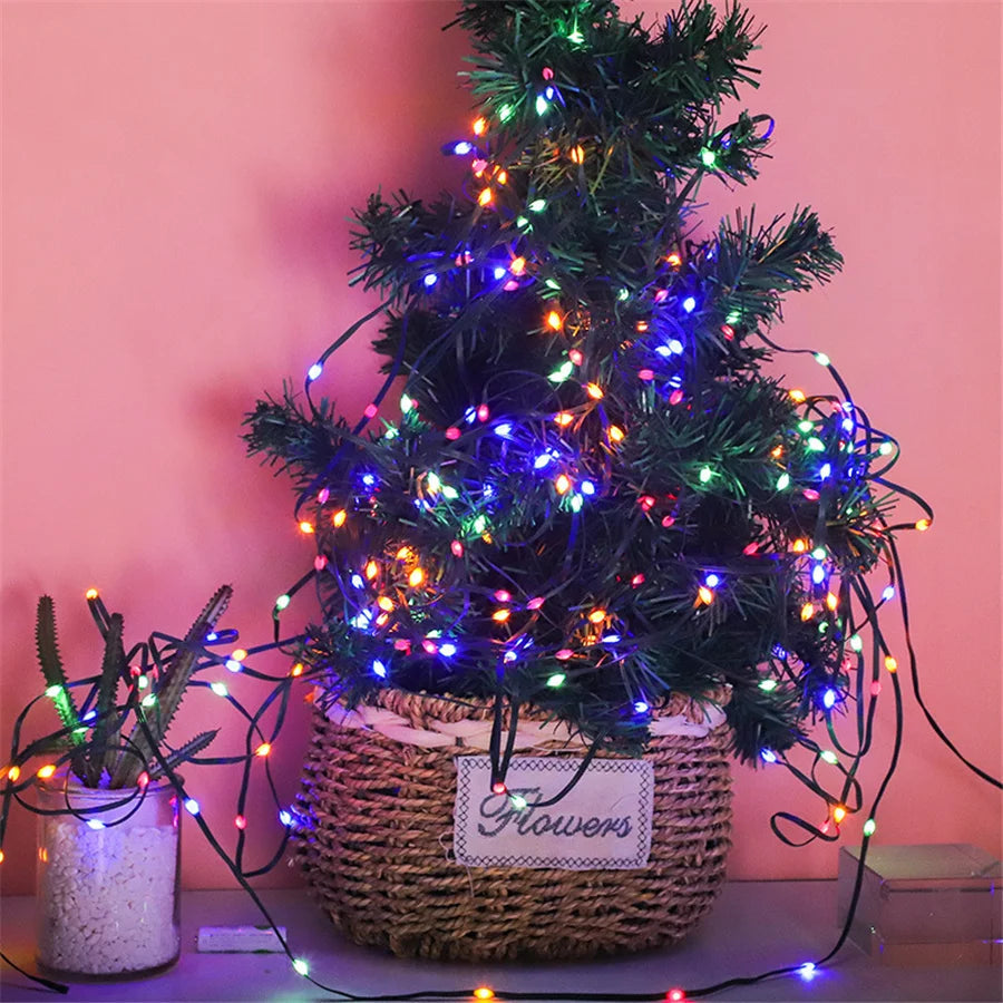 Outdoor LED Fairy Lights – Magical Glow for Nighttime Gatherings 2