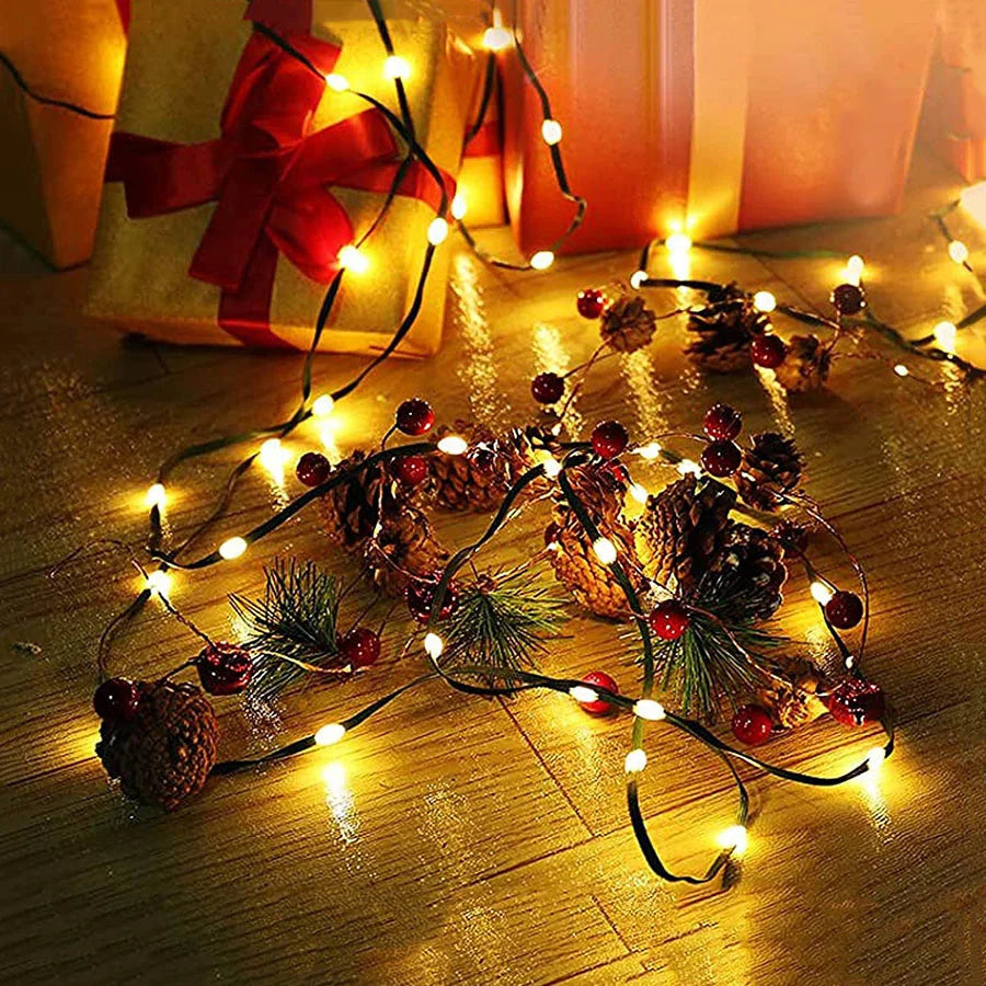 Outdoor LED Fairy Lights – Magical Glow for Nighttime Gatherings 5