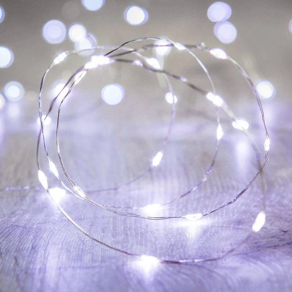 Pro LED Fairy Lights – Magical Illumination for Outdoor Gatherings 2