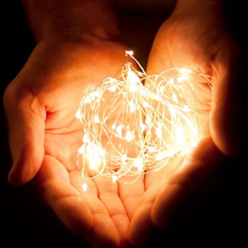 Pro LED Fairy Lights – Magical Illumination for Outdoor Gatherings 3