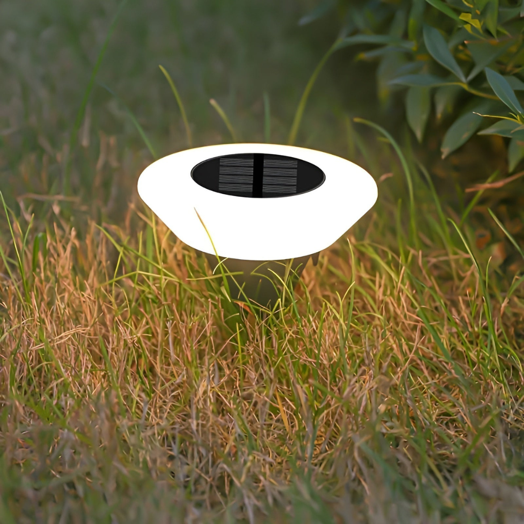 Bluxe Solar Garden Lights – Elegant Illumination for Outdoor Spaces 2