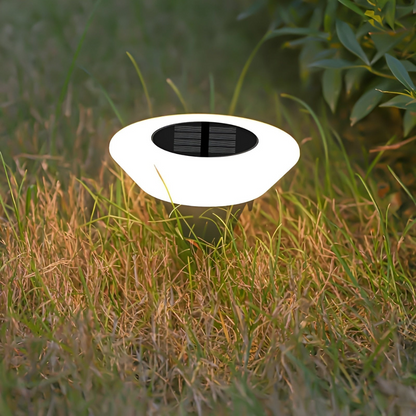 Bluxe Solar Garden Lights – Elegant Illumination for Outdoor Spaces 2