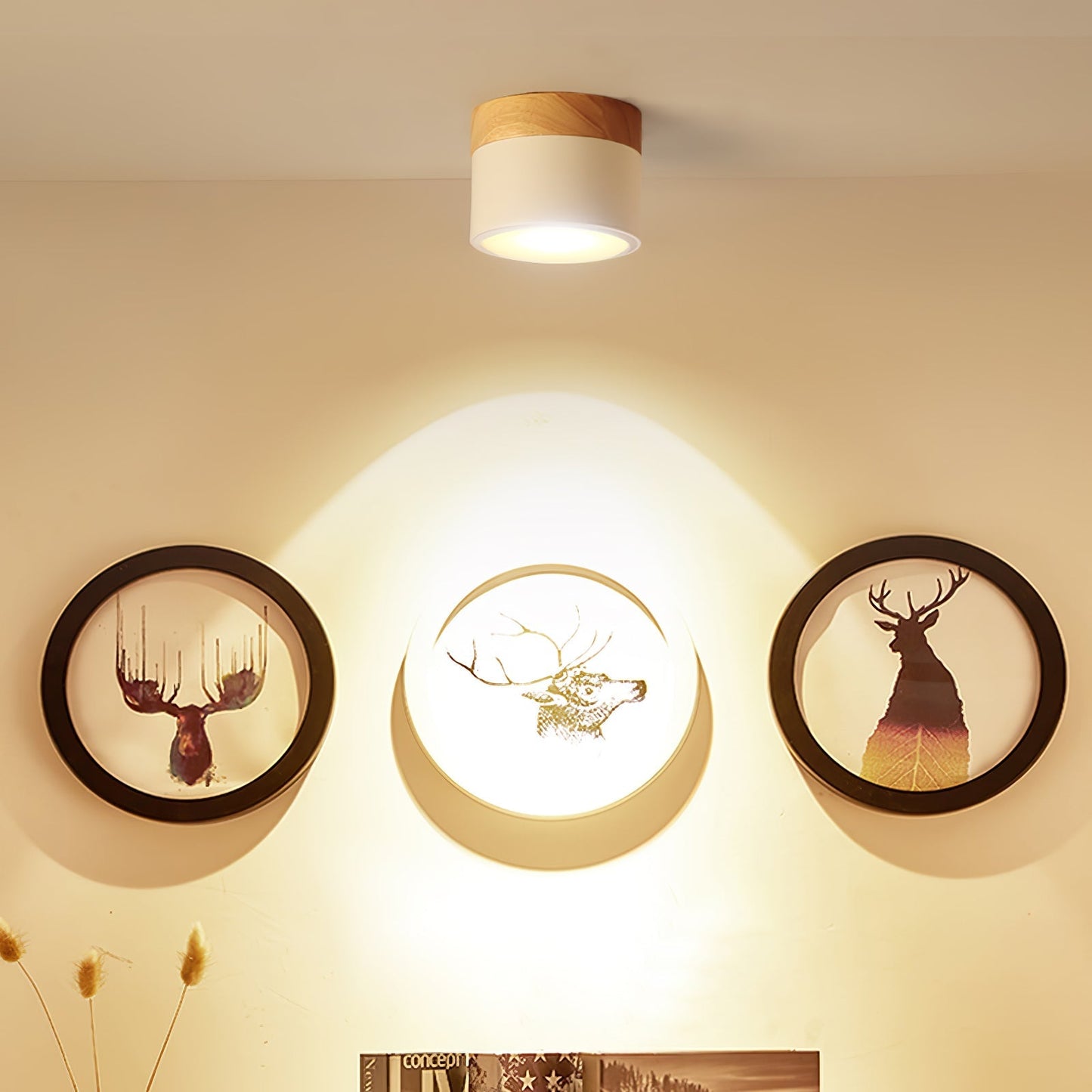 Ceiling Spot Light Fixture – Modern Design with Warm Glow 2
