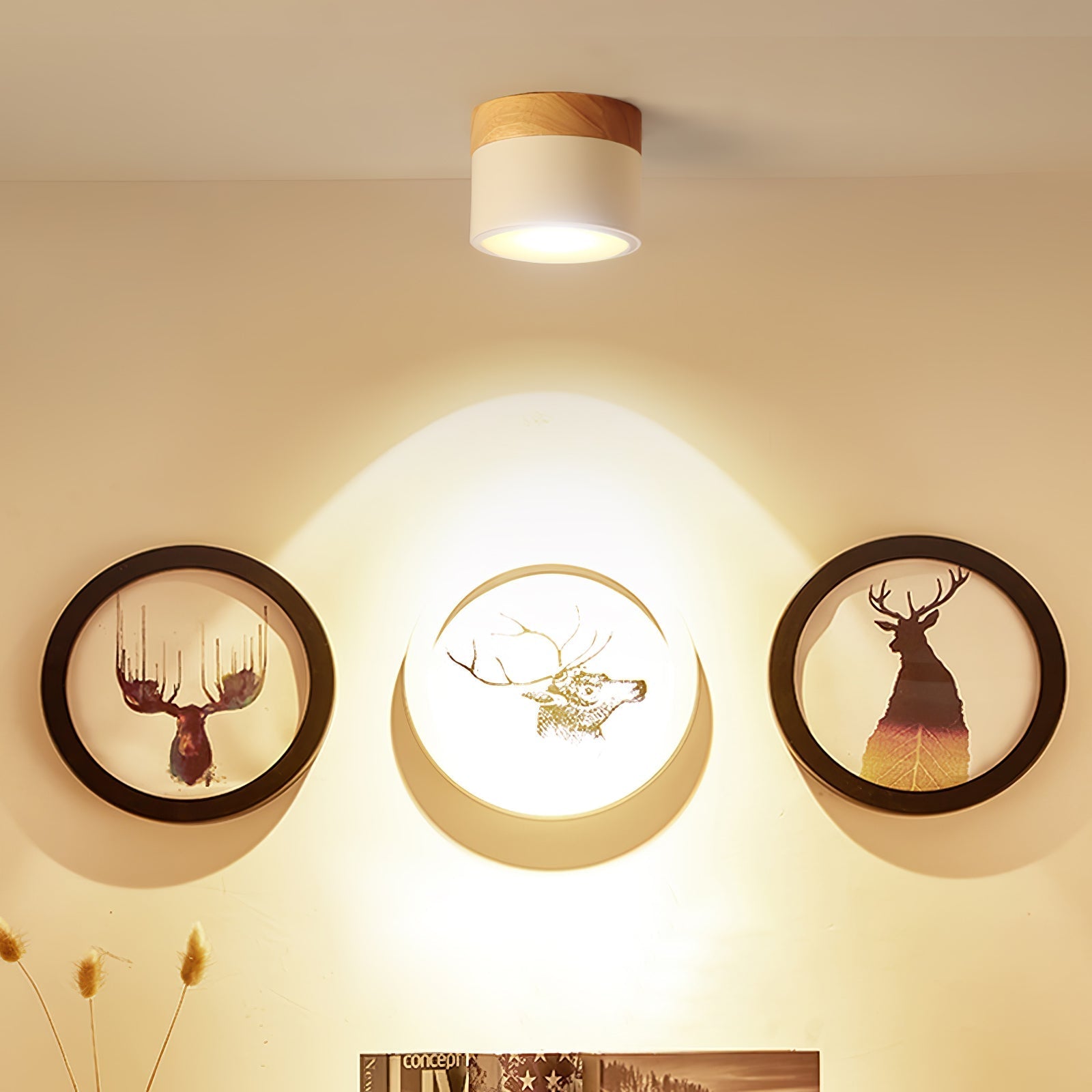 Ceiling Spot Light Fixture – Modern Design with Warm Glow 2