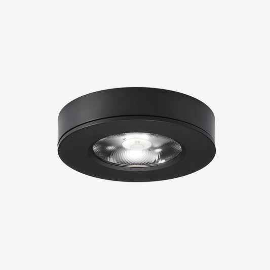 LED Ceiling Light Delma – Modern Illumination for Stylish Spaces 0