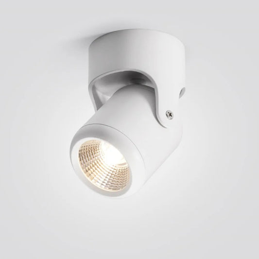 LED Ceiling Light Fixture Dimmable – Flexible Design for Customized Illumination 1