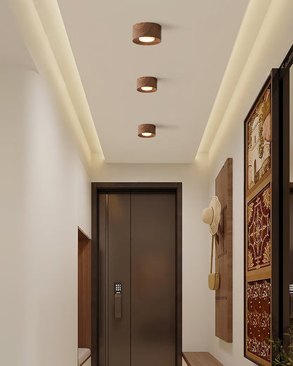 Loris Ceiling Light Fixture – Artistic Design with Elegant Glow 8