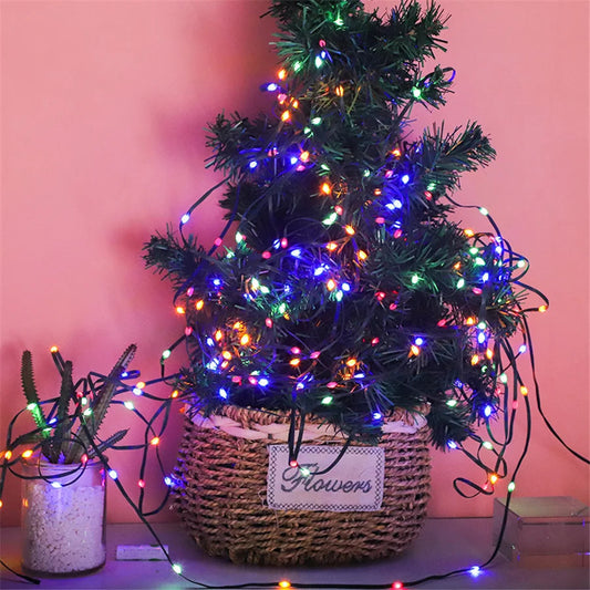 Outdoor LED Fairy Lights – Magical Glow for Nighttime Gatherings 2