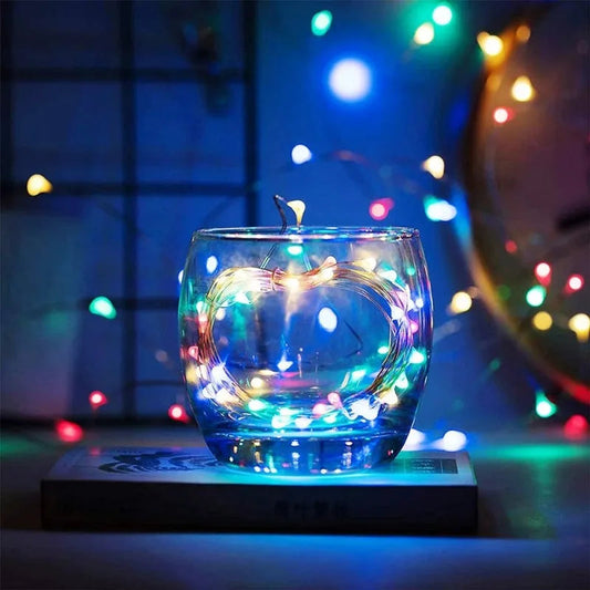 Pro LED Fairy Lights – Magical Illumination for Outdoor Gatherings 0