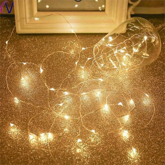 Pro LED Fairy Lights – Magical Illumination for Outdoor Gatherings 1