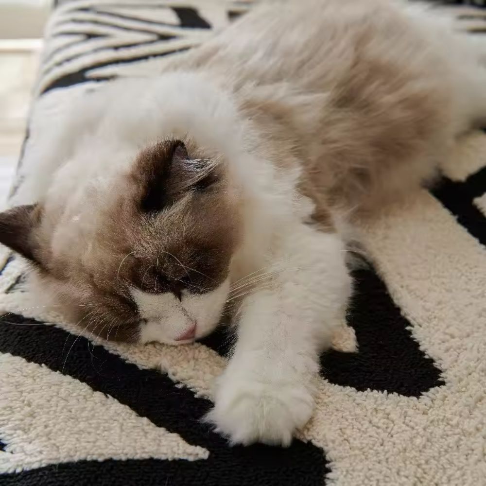 Urban Maze Sofa Cover – Elegant Protection For Modern Spaces 6